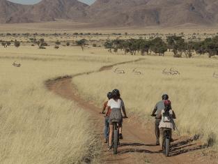 Namibia: Ihre Familiensafari