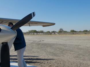 Ihre Namibia Flugsafari: Einfach himmlisch!