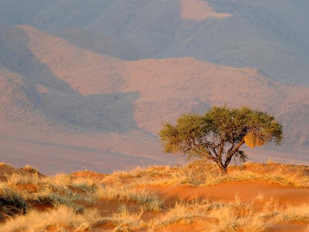 Namib Rand Naturreservat in Namibia