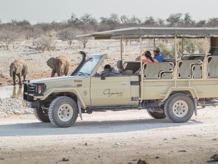 Safari im Etosha Nationalpark.