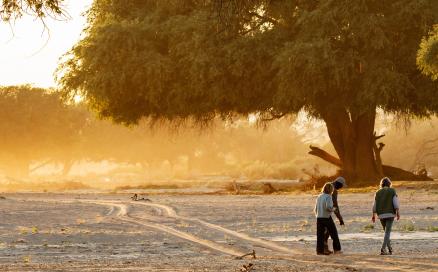 Wanderung im trockenen Flussbett – stille Begegnung mit Namibias Natur auf einer Flugsafari