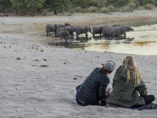 The Big Five – die Ikone der Safari